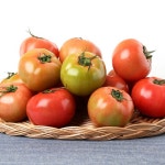 [무농약]영천 친환경 완숙토마토 5kg  - 이마트몰, 당신과 가장 가까운 이마트 [무농약]영천 친환경 완숙토마토 5kg 