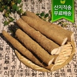진주 장마 자투리마 2kg - 이마트몰, 당신과 가장 가까운 이마트 진주 장마 자투리마 2kg