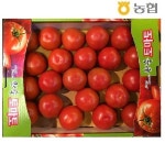 지에스25 가락도매시장 위성점 | [농협/가락도매시장] 국산 완숙 토마토 5kg (25~28내) - 이마트몰, 당신과 가장 가까운 이마트