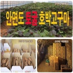 안면도 토굴 호박고구마 5kg 상(350g이상) - 이마트몰, 당신과 가장 가까운 이마트 안면도 토굴 호박고구마 5kg 상(350g이상)
