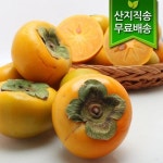 [산지직송]경남창녕 달콤한 단감 2.5kg (20과내) - 이마트몰, 당신과 가장 가까운 이마트