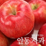 이마트24 안동풍산고점 | 향이 살아 있는 안동 사과 5kg 24과이상 - 이마트몰, 당신과 가장 가까운 이마트
