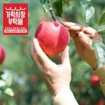 [가락시장부탁해] 사과 10kg 중대 31-35개내외 - 이마트몰, 당신과 가장 가까운 이마트