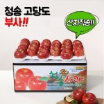 [경북능금농협] 청송사과 10kg 40~46과 보조개 흠집사과 - 이마트몰, 당신과 가장 가까운 이마트 [경북능금농협] 청송사과 10kg 40~46과... 