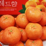 제주 레드향 3kg(11~13과) - 이마트몰, 당신과 가장 가까운 이마트 제주 레드향 3kg(11~13과)