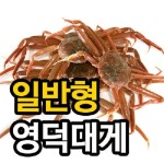 [경북영덕]영덕대게 일반형 大5마리 - 이마트몰, 당신과 가장 가까운 이마트  [경북영덕]영덕대게 일반형 大5마리