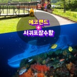 제주도 에코랜드+서귀포잠수함 - 이마트몰, 당신과 가장 가까운 이마트