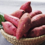 [수선화농장] 해남 꿀고구마 한입 3kg - 이마트몰, 당신과 가장 가까운 이마트 [수선화농장] 해남 꿀고구마 한입 3kg