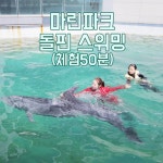 제주 마린파크 돌핀 스위밍체험 50분 - 이마트몰, 당신과 가장 가까운 이마트 제주 마린파크 돌핀 스위밍체험 50분