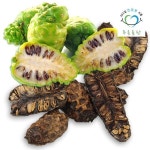 푸른들판/노니 100g/노니열매   - 이마트몰, 당신과 가장 가까운 이마트 푸른들판/노니 100g/노니열매  