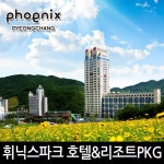 [휘닉스 평창][워터케이블PKG] 휘닉스 콘도/호텔 객실+케이블카+블루캐니언 워터파크 (4/29~5/31) - 이마트몰, 당신과 가장 가까운 이마트