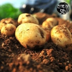 [산지직송] 포슬포슬 완주 햇 수미감자 5kg 특 (100~160g) - 이마트몰... 가까운 이마트 [산지직송] 포슬포슬 완주 햇 수미감자 5kg 특 (100~160g)
