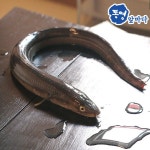 [통영앞바다]손질한 통영 바다장어-대장어/1kg(2~4마리) - 이마트몰... 가장 가까운 이마트 [통영앞바다]손질한 통영 바다장어-대장어/1kg(2~4마리)