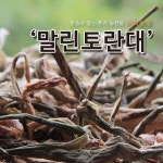 [소화농장] 2016년 건토란대 100g - 이마트몰, 당신과 가장 가까운 이마트