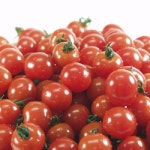 방울토마토 5kg 3번과 - 이마트몰, 당신과 가장 가까운 이마트 방울토마토 5kg 3번과