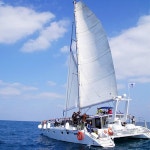 제주 김녕요트투어 / 제주도 요트 체험 - 이마트몰, 당신과 가장 가까운 이마트  제주 김녕요트투어 / 제주도 요트 체험