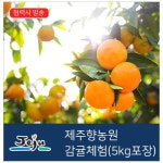[제주도/서귀포] 제주향농원 감귤(5kg포장)-바코드 발송 - 이마트몰, 당신과 가장 가까운 이마트 [제주도/서귀포] 제주향농원 감귤(5kg포장)... 