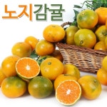 한라농원 한라노지감귤 9kg로얄과(S/M) - 이마트몰, 당신과 가장 가까운 이마트