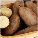 국내산 햇 야콘10kg (보통/가늘거나 갈라짐) - 이마트몰, 당신과 가장 가까운 이마트 국내산 햇 야콘10kg (보통/가늘거나 갈라짐)