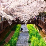 신세계적 쇼핑포털 SSG.COM