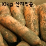 [익산원예농협] 2018년산 국산 흙당근 10kg - 이마트몰, 당신과 가장 가까운 이마트 [익산원예농협] 2018년산 국산 흙당근 10kg