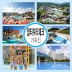 멀티워터파크 통합이용권 4매 블루원,도고,리솜,아산,테딘,화순 | 홈쇼핑모아 멀티워터파크 통합이용권 4매 블루원,도고,리솜,아산,테딘,화순... 