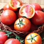             2번 - 샵계부     샵계부