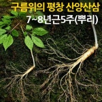 [구름위의평창산삼] 해발1200mm에서 정성과 진심으로 키워낸 국내산 산양산삼 7~8년근 3주(뿌리)/선물세트  - 샵계부