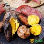 안면도농협 선별된 햇고구마 3kg/5kg/10kg | O! Shopping Smart - CJmall 상품상세정보