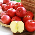 [신흥농장] 과수원 산지직송 부사 사과 10kg 흠집과 사과즙 배즙 - 샵계부