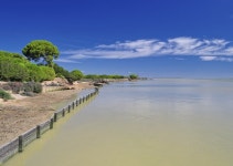 Spain Doñana Natural Space