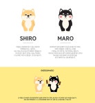 텐바이텐 10X10 : 갤럭시 시로앤마로 정품 소프트 라이트업-테니스공 시바