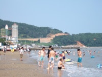 유달정보-(주)유미디어 | 유달정보신문 (주) 유미디어 유달정보-(주)유미디어