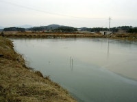 유달정보-(주)유미디어 | (주) 유-미디어 유달정보-(주)유미디어