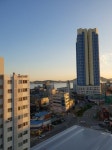 유달정보-(주)유미디어 | 부동산 | 우미3차블루빌 | 17,000  만원 | 새댁공인중개사 사무소 061-283-3693 유달정보-(주)유미디어 | 부동산