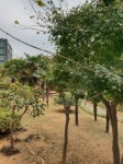 유달정보-(주)유미디어 | 부동산 | 우미6차오션빌 | 21,000  만원 | 새댁공인중개사 사무소 061-283-3693 유달정보-(주)유미디어 | 부동산