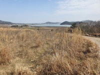 팔금면 | 토지/임야 1826㎡ 매매가 6,600만원 | 정직한공인중개사사무소 