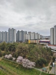 남악 | 현대아이파크 112.4㎡ 매매가 19,500만원 | 목포1등공인중개사사무소 