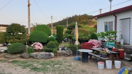 장산면 | 상가점포 ㎡ 매매가 30,000만원 