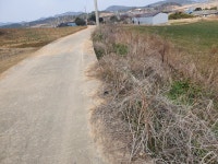 안좌면 | 토지/임야 3906㎡ 매매가 5,500만원 | 정직한공인중개사사무소 