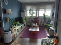 용당동 | 주택 248.84㎡ 매매가 20,000만원 | 신촌공인중개사사무소 