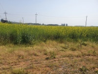 삼향읍 | 토지/임야 1028㎡ 매매가 17,000만원 | 정직한공인중개사사무소 