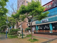 옥암동 | 상가건물 770㎡ 매매가 95,000만원 | 목화공인중개사사무소 