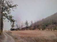 화원면 | 토지/임야 2466㎡ 매매가 7,500만원 | 에스비공인중개사사무소 