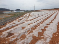 압해읍 | 토지/임야 1326㎡ 매매가 6,000만원 | 한울공인중개사 