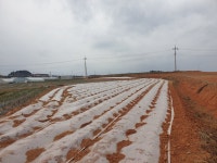 압해읍 | 토지/임야 1326㎡ 매매가 6,000만원 | 한울공인중개사 