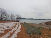 압해읍 | 토지/임야 1326㎡ 매매가 6,000만원 | 한울공인중개사 