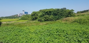 압해읍 | 토지/임야 1329㎡ 매매가 33,000만원 | 현대컨설팅 공인중개사 사무소 