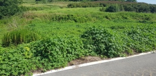 압해읍 | 토지/임야 1329㎡ 매매가 33,000만원 | 현대컨설팅 공인중개사 사무소 