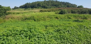 압해읍 | 토지/임야 1329㎡ 매매가 33,000만원 | 현대컨설팅 공인중개사 사무소 